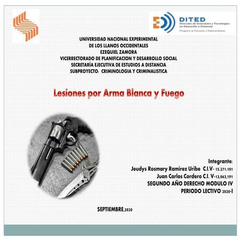 ARMAS BLANCAS Y DE FUEGO.pptx