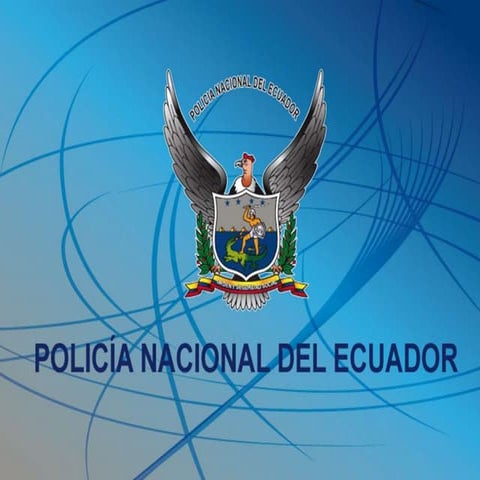 PRINCIPIOS BASICOS SOBRE EL EMPLEO DE LA FUERZA Y DE ARMAS DE FUEGO