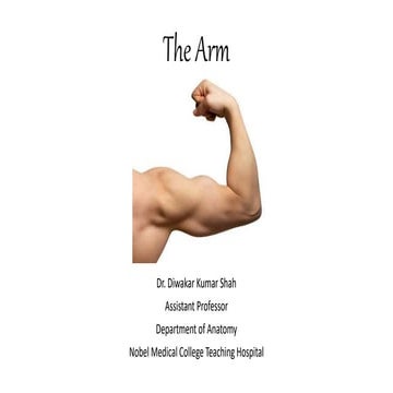 Arm & Cubital Fossa.pptx