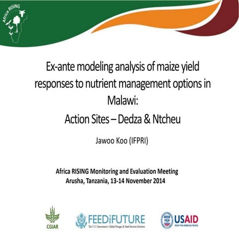 Ex-ante modeling analysis of maize yield responses to nutrient management opt...