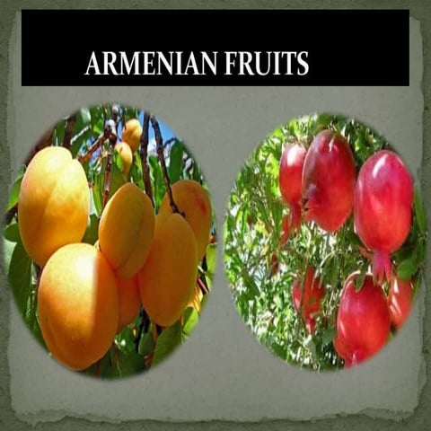 Armenian fruits