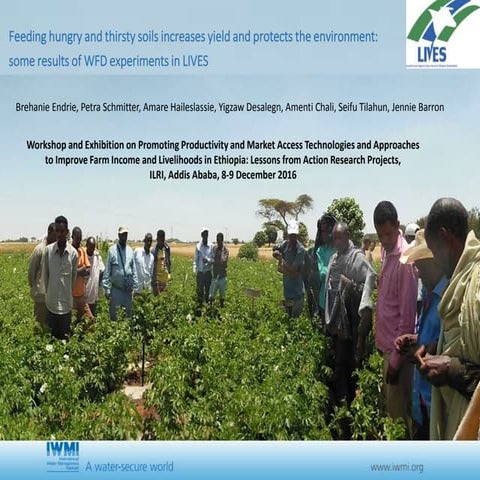 Feeding hungry and thirsty soils increases yield and protects the environment...