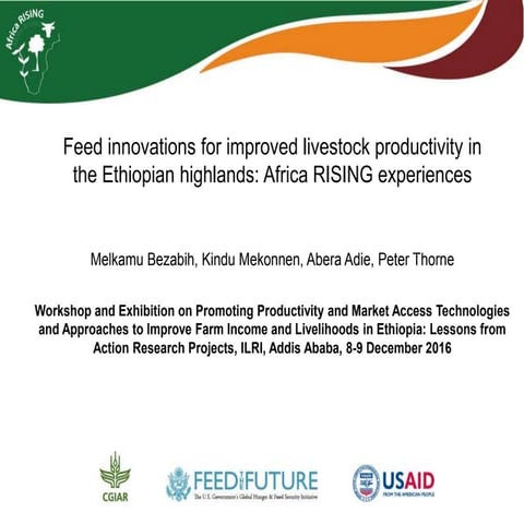 Feed innovations for improved livestock productivity in the Ethiopian highlan...