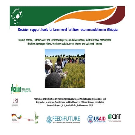 Decision support tools for farm-level fertilizer recommendation in Ethiopia