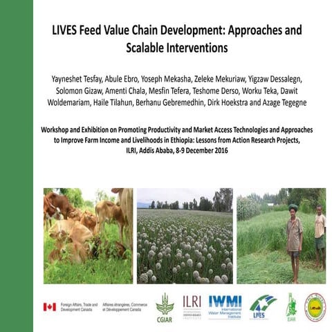 LIVES feed value chain development: Approaches and scalable interventions 