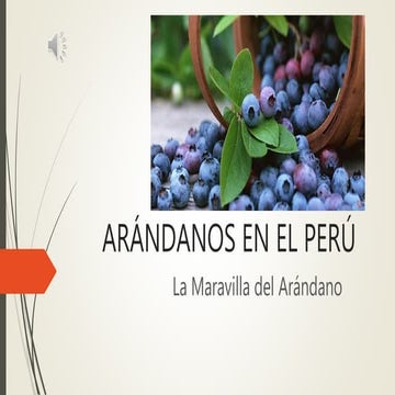 arndanosenelper-160220235103.pdflolololololol