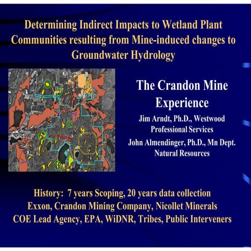 Mining Impacts and Wetlands_Crandon_Experience