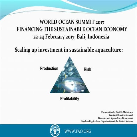 Financing the sustaibanable ocean economy