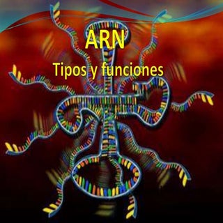 Arn tipos y funciones.