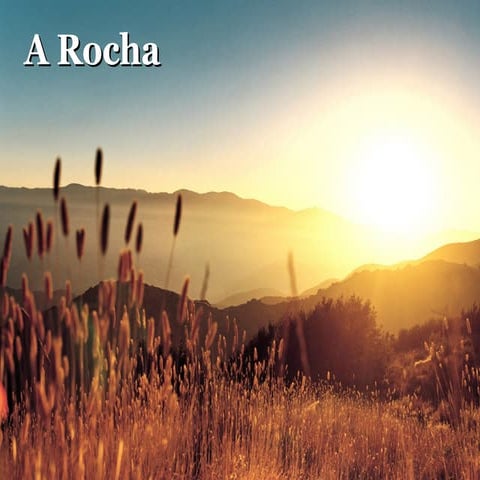 A rocha