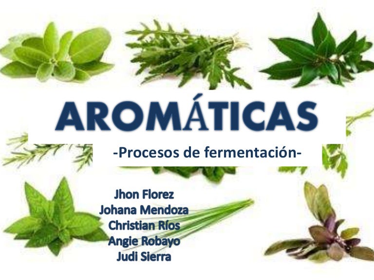 Plantas Aromaticas Y Procesos De Fermentacion