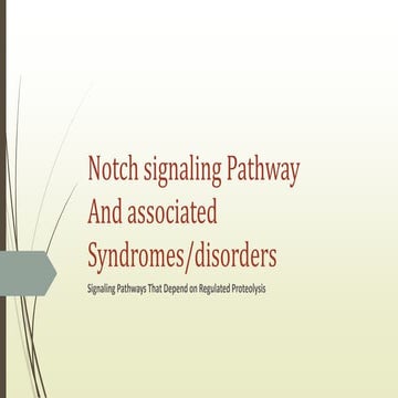 Notch signaling pathway