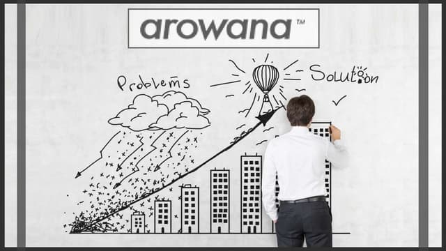 We help organizations transform experiences – Arowana Consulting