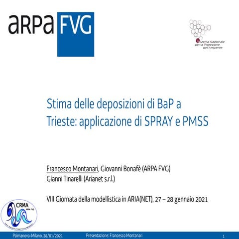 Stima delle deposizioni di BaP a Trieste: applicazione di SPRAY e PMSS