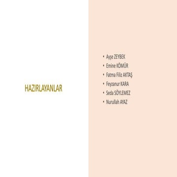 ÇARPANLARA AYIRMA VE ÖZDEŞLİKLER.pptx