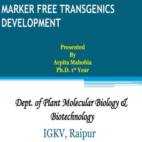 Marker free transgenic development