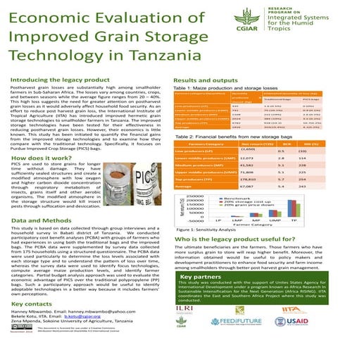 Economic evaluation of improved grain storage technology in Tanzania