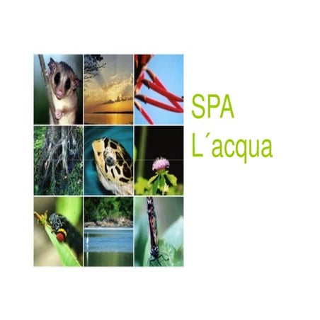 linha spa lacqua di fiori