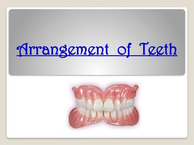 arrangement of teeth Anterior and Posterior