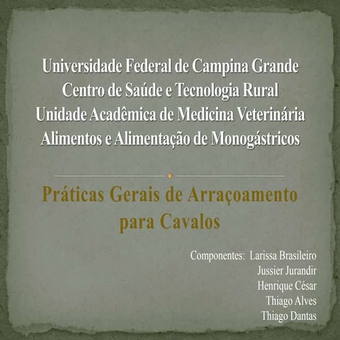 Arraçoamento de equinos