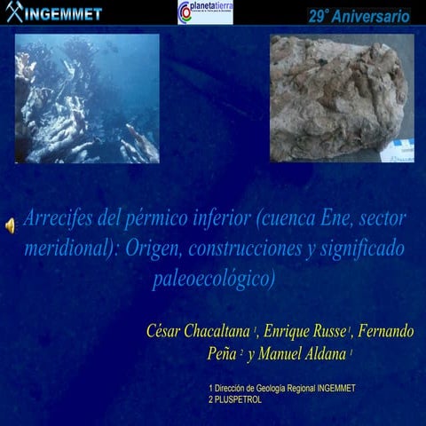 ARRECIFES DEL PÉRMICO INFERIOR (CUENCA ENE, SECTOR MERIDIONAL): ORIGEN, CONST...