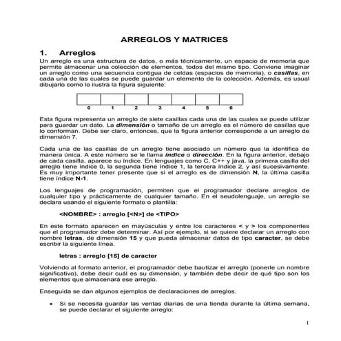 Arreglos y matrices c++ | PDF