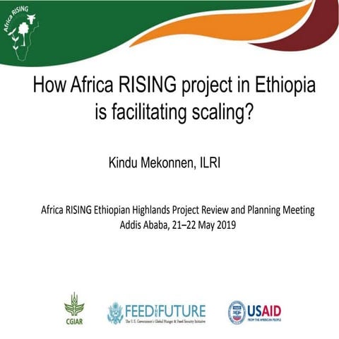 How Africa RISING project in Ethiopia is facilitating scaling?