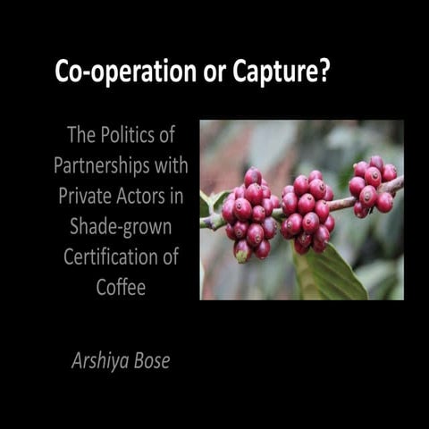 Co-operation or Capture?