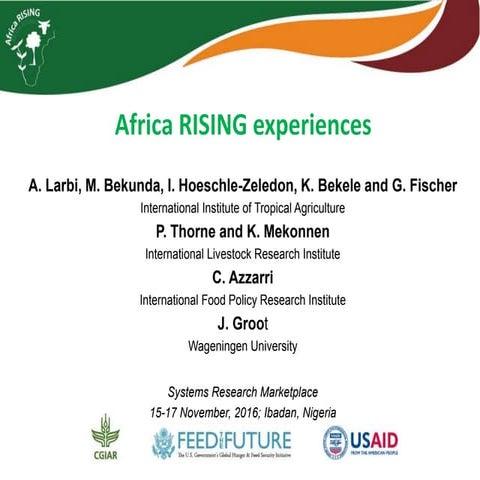 Africa RISING experiences