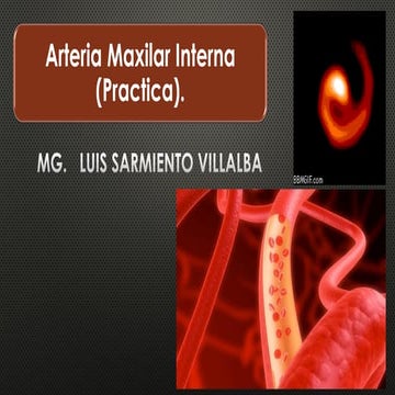 ART. MAXILAR INTERNA_2022_PRAC.pdf