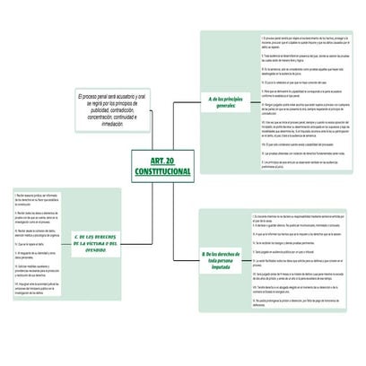 ART. 20 CONSTITUCIONAL.pdf