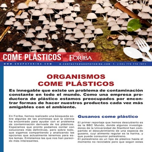 Art foriba-organismos-comeplasticos