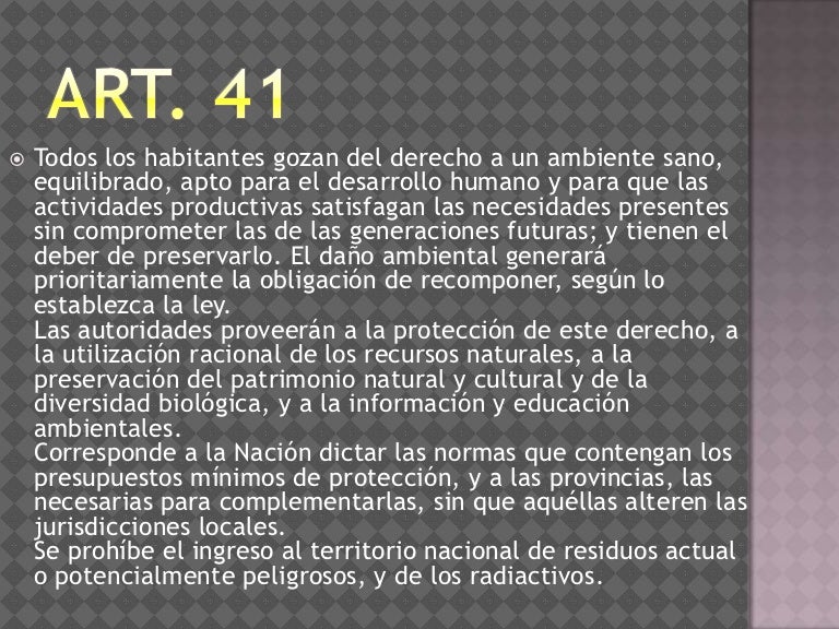 Art 41