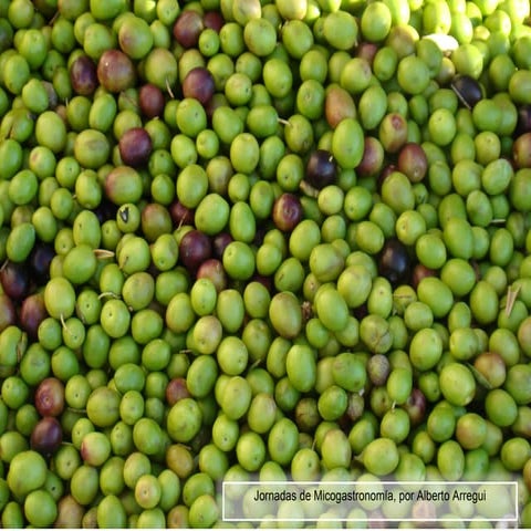III Jornadas de Micogastronomía 2012, por Alberto Arregui