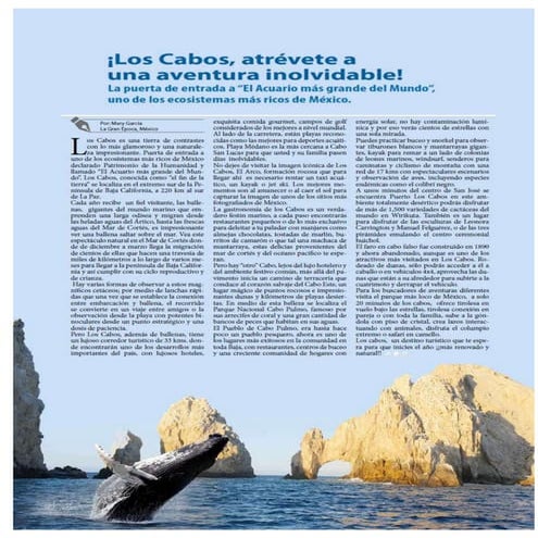 Artículo expositivo