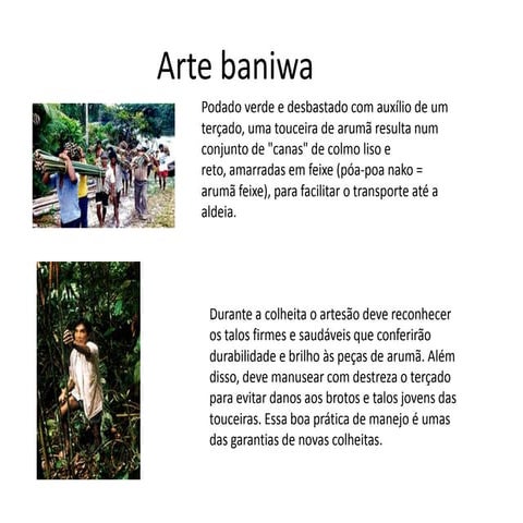 Arte Baniwa