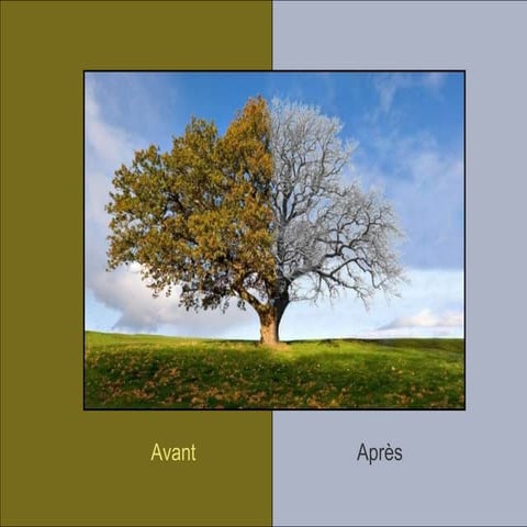 Arte FotográFica   O Antes E O Depois