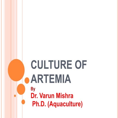 Artemia culture