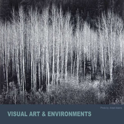 Art & Environment