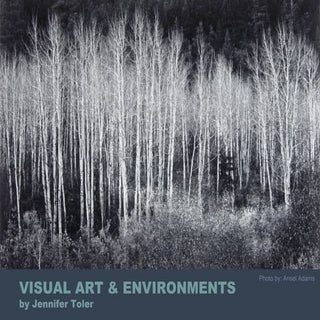Art &amp; environment