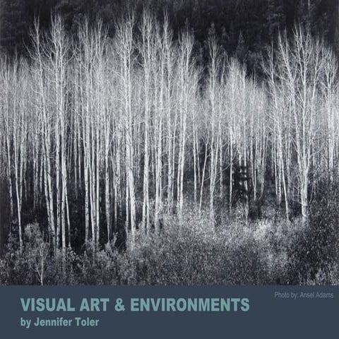 Art &amp; environment
