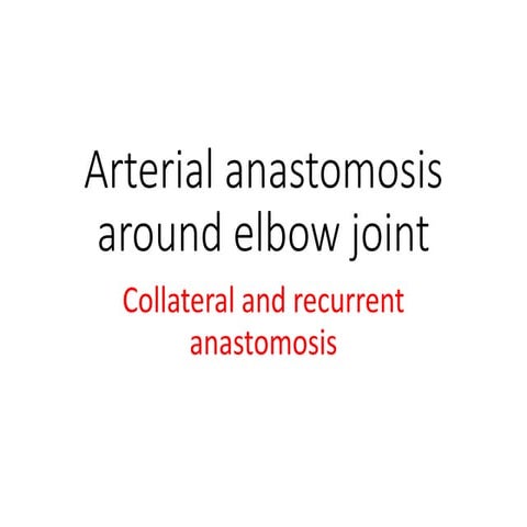 Anastomosis around elbow joint