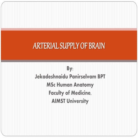 Arterial supply of brain