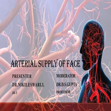 Blood vessels of head and neck | PPT