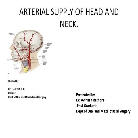 Arterial supply of head and neck