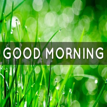 Arterial supply of head and neck