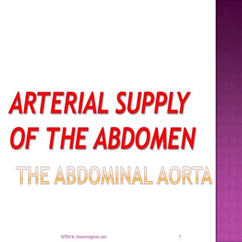 Arterial supply of the Abdomen : Abdominal Aorta