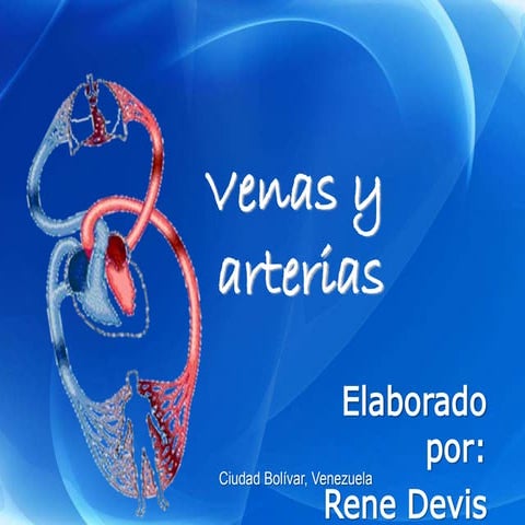 Arterias 