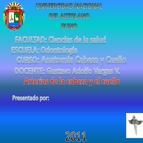 Arterias de cuello y cabeza