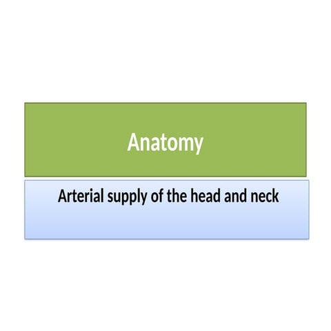 Anatomy of arterial supply of head and neck ppt
